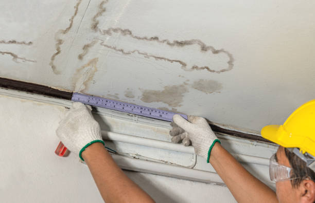 Reliable Basement Water Removal contractor in Eden, NC by Water Damage Irwin